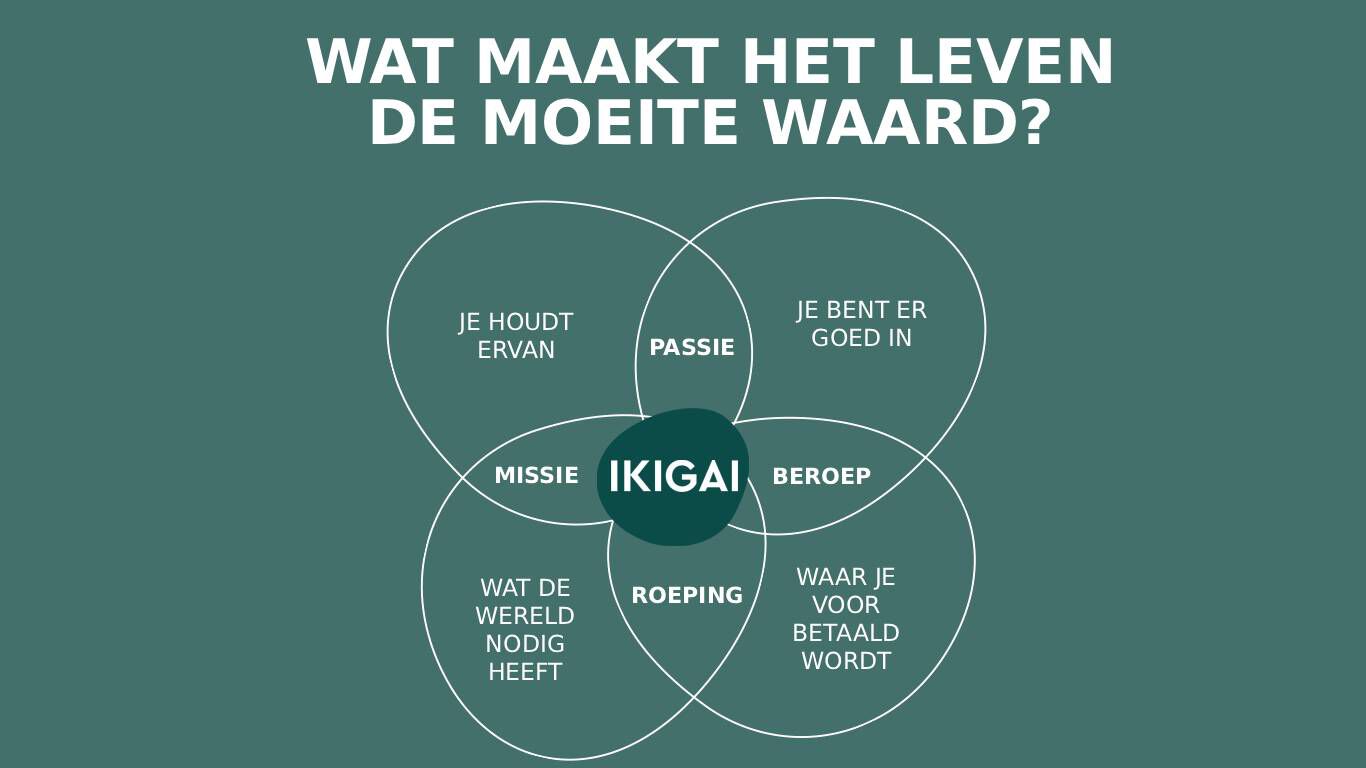 Visuele weergave van het Ikigai-model.